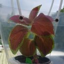 계명산자연휴양림 산막 이미지