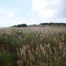 암곡마을회관 이미지