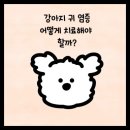 남원동물병원 이미지