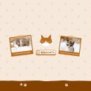 인천바이오과학고등학교 이미지