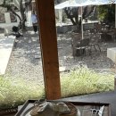 카페 올리브 네이버블로그
