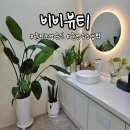 세실로 | 춘천눈썹문신 춘천 나에게 꼭 맞는 눈썹찾기 실사후기 춘천눈썹문신잘하는곳 비비뷰티