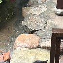 여문달