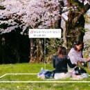 '일본의 주소는 너무 길어' ⇒ 정확한 위치정보를 세 단어로 표현하는 기업 등장. 이미지