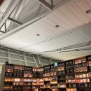 062 | 인천(출발)-토론토(경유)-오타와(도착) 이코노미 탑승후기(AC062, AC470) | 토론토피어슨공항 경유...