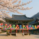 꽃비원스테이 | 전국 사찰 템플스테이 여행 가이드