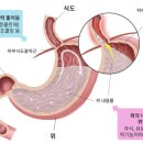 대연균형한의원 이미지