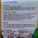 포곡 맛집) 까치골 오리돌구이- 치즈볶음밥 필수인 둔전의 오리고기 맛집