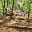 내원사약수터 이미지