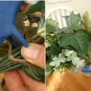 올리브조화 이미지