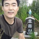 호음산 정상 이미지