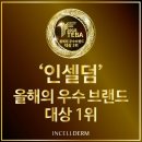 인셀덤영광