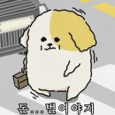 정산진짜루 네이버블로그