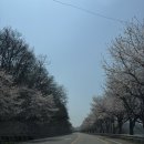 초평낚시터 | 🎣 초평집좌대 낚시터 솔직한 이용후기