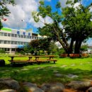 곡성군 산림과 이미지