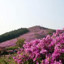 봉화산주차장 이미지