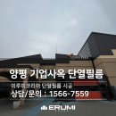 이루미(ERUMI) 이미지