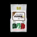 우리개발 이미지