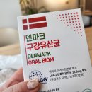 구강유산균 구강보존균가루 입냄새 치아관리 덴프레쉬