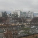 이천역세권공인중개사사무소 Daum카페