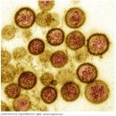 한터 스크린 이미지