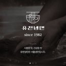 유천냉면 이미지