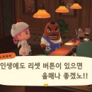 정직한루피 이미지