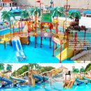 아산온천로 | 아산 워터파크 비교 파라다이스 스파 도고 vs 아산 스파비스 후기