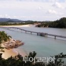자은도에서 투어코리아