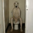 기분
