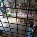 People&Dog(피플앤독) 이미지