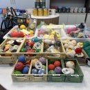 퍼쉬퍼피 이미지