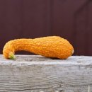 수지산업 이미지