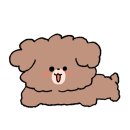 제주바른돼지 이미지