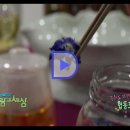 에코투어 태화강협동조합 이미지