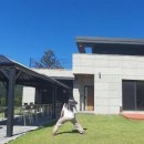 라비드 포레 이미지