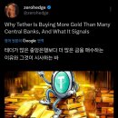 테더, 116톤 금 보유…한국·헝가리 중앙은행과 맞먹는 수준 ＜ 270조짜리 테더, 무너질까…최하위 등급 강등 충격 이미지