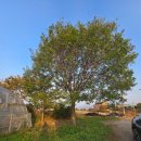 원호농장(1) 이미지