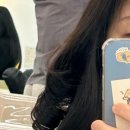 헤어빈 이미지