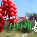 산타래 농장