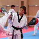 대표태권도 이미지