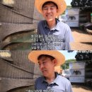 백숙집 차리려고 닭 키우기 시작한 부부의 최후 이미지