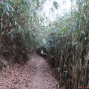 곰소초교 이미지