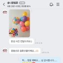 안양 레터링풍선 솜니움벌룬 내돈내산(feat. 웨딩 촬영)