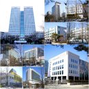 도심속의 평화 이미지