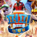 퍼피슈가 이미지