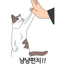 지경희동물병원 이미지