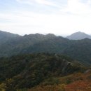 괴산중학교 이미지