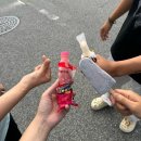 제주후니네 | 2024년 7월 마지막 주/여름 웨딩촬영은 실내에서 하세요^^!🌴💦