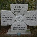 천주교하남성당 이미지